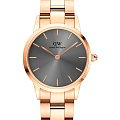 Часы Daniel Wellington Iconic Link Grey Rose Gold DW00100336